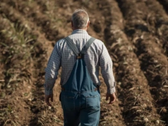 Ten obowiązek dotyczy każdego rolnika powyżej 1 ha. Kara już obowiązuje