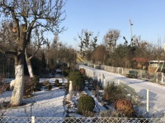 Surowy zakaz na działkach. Właścicielom grozi nawet 1000 zł kary