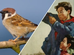 "Wielki skok" - zbiorowy obłęd. Jak Chiny walczyły z "czterema plagami"