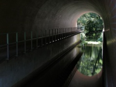 Jest największy w Polsce. Ma 177 lat i 75 metrów długości. Turyści mogą go zwiedzać za darmo