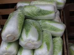 Tańsza kapusta z Ukrainy uderza w polskich plantatorów. Ceny spadają z dnia na dzień