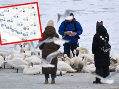 Zima nie odpuszcza. Wraca silny mróz. Miejscami zawieje i zamiecie