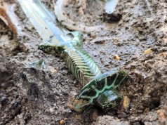 Miecz z epoki brązu dowodem na kunszt dawnych mistrzów. Niesamowite odkrycie w Bawarii