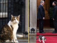 "Główny myszliwy" urzęduje dłużej niż niejeden premier Wielkiej Brytanii. Obchodzi wyjątkową rocznicę