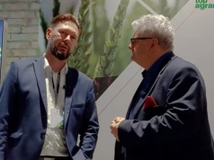 Wymarznie ten rzepak, czy nie? Eksperci uspokajają – trzeba jeszcze zaczekać. Rola soi nadal rośnie