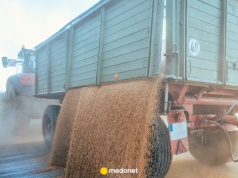 Żywność spoza UE pod lupą Ministerstwa Zdrowia. Chodzi o zakazane pestycydy