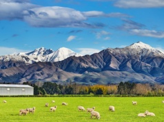 Nowa Zelandia za 2381 PLN 😲✈️🧳 Loty z dużym bagażem, z Budapesztu