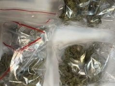 Koło, Turek. Policjanci zabezpieczyli ponad 350 g narkotyków