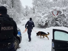 Poślizg zakończony kolizją. Sprawca uciekł pieszo. W akcji m.in. pies tropiący