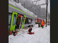 Lawina zatrzymała pociąg w Alpach – wykolejenie na linii Goppenstein-Hohtenn i pięciu rannych