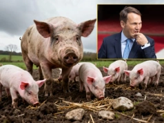 Maski opadły. Rząd Donalda Tuska nie zaskarży umowy UE–Mercosur. To oficjalna odpowiedź MSZ