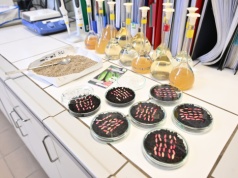 Mleczne odpady zamiast drogich nawozów? Rolnicy mogą sporo zyskać