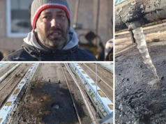 Tragedia rolnika: brak prądu w szklarni, milionowe straty. Operator odpowiada