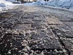 "Niewinna" sól drogowa szkodzi naturze. Naukowcy biją na alarm