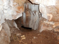 Jaskinia z Wysp skrywała prehistoryczne DNA. Naukowcy odczytali je po 11 000 lat