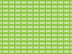 Zagadka tylko dla bystrzaków? Mało kto widzi od razu