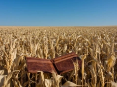 Kto płaci podatek rolny: właściciel czy dzierżawca?