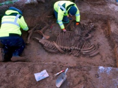 Starożytna osada na terenie uniwersytetu w Dortmundzie. Kampus skrywał przeszłość, jakiej nikt się nie spodziewał