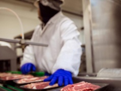 Kto ocenia jakość mięsa? IJHARS ogłasza egzaminy dla nowych specjalistów