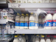 To już nie dojna krowa? Polska branża mleczarska na zakręcie