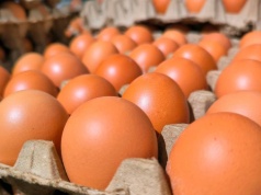 Czy trzeba myć jajka przed włożeniem do lodówki? Eksperci nie mają wątpliwości