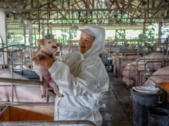 Chiński gigant wieprzowy szykuje międzynarodową ekspansję