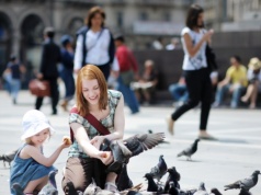 Kraków testuje metodę ograniczenia gołębi. W mieście ma być czyściej