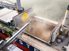 Więcej zboża na morzach. Morski handel produktami rolnymi urósł