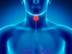 Odżywiaj swoją tarczycę: Jod, selen i cynk zawarte w diecie pomagają przywrócić równowagę hormonalną