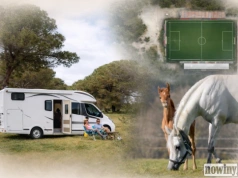 Nowa strefa rekreacji: stajnia, boiska, szklarnia, pole biwakowe i kampery