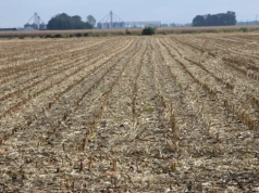 Rolnicy ze Szwajcarii pobierają dopłaty bezpośrednie do niemieckiej ziemi. Co się dzieje na granicy?