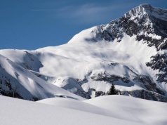 Seria lawin we francuskich Alpach. Wśród ofiar polski narciarz