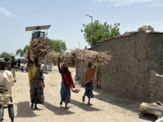 W Nigerii rozwija się śmiertelna choroba. Ogromny wzrost zachorowań