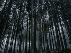 Zagadkowy przedmiot sprzed 2500 lat znaleziony pod Jarosławiem. Archeolodzy mają teorię co do jego przeznaczenia