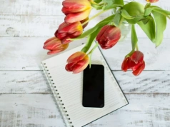 Quiz ortograficzny z nazwami zwierząt. Nie tylko mistrz zgarnie 10/10!