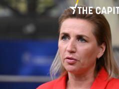 Dania: Premier gra vabank. Będą wybory / Briefing z Europy