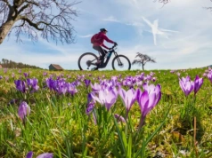 Pierwsze prognozy pogody na Wielkanoc. To będzie eksplozja wiosny!