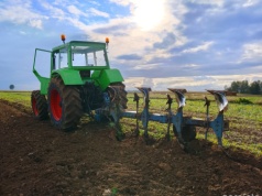 Ceny ziemi rolnej GUS: 118 tys. zł za hektar. Podlaskie najdroższe
