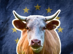 Mercosur uruchomiony. Czekam teraz na mojego taniego steka z Argentyny