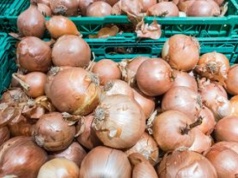 Wysłali cebulę do Polski. Zarobili 216 mln zł. Skąd pochodzi?