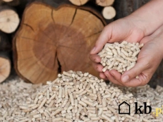 Ile drzew trzeba ściąć, aby wyprodukować tonę pelletu? Znamy konkretne liczby!