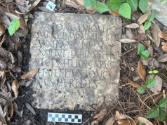 Amerykanie nie wiedzieli, że mają w ogrodzie rzymski zabytek. Naukowcy odczytali starożytne napisy