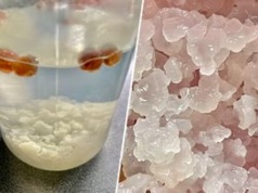 Był hitem lat 80. i 90. Teraz "napój mocy" wraca do łask