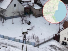 Ten bocian wywołał sensację w Polsce. Są nowe wieści o stanie Krutka