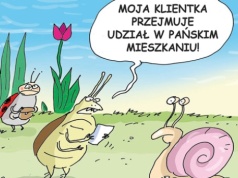 Prawnik radzi. Przejęcie nieruchomości przez wierzyciela 