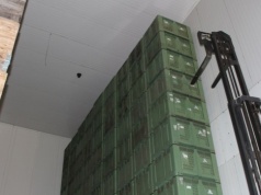 Jabłko przemysłowe stanęło. Sadownicy mogą się rozczarować