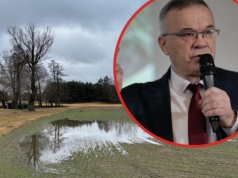 Co się stało z nawozami wysianymi przed roztopami? Prof. Szczepaniak tłumaczy, które pola są bezpieczne