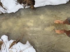 Czy po mroźnej zimie nadejdzie susza?