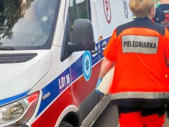 Zderzenie motocykla z łosiem. Są ranni oraz utrudnienia na drodze krajowej nr 82