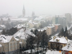 Nowa spółka w stolicy regionu. Czym zajmie się „Olsztyńskie Mienie Miejskie”?